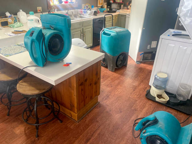 Best Sewage cleanup and water damage restoration  in Rayne, LA
