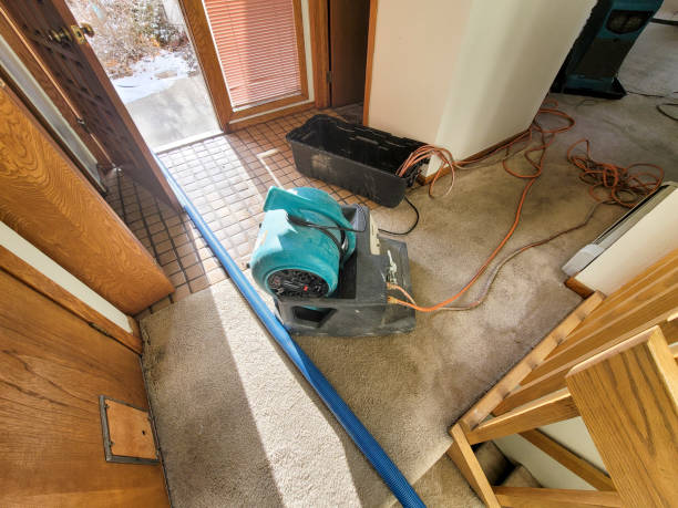 Best Water damage restoration experts  in Rayne, LA