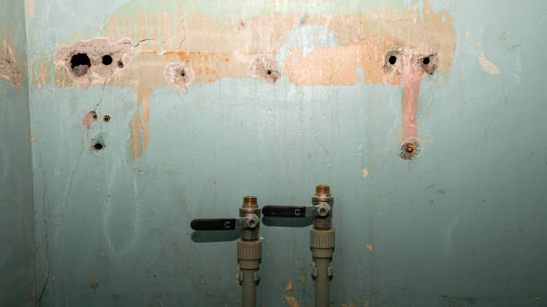 Best Water damage restoration near me  in Rayne, LA