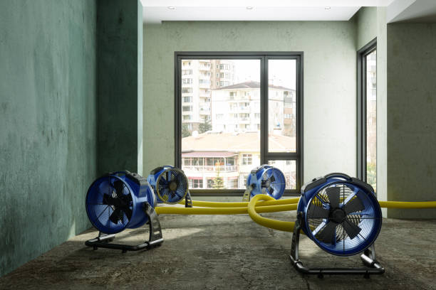 24/7 water damage repair in Rayne, LA